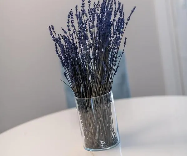 Le Dimore Di Gio דירה *