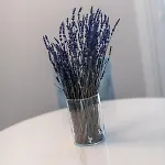 Le Dimore Di Gio Apartment *