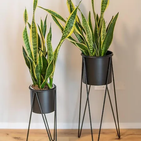 Le Dimore Di Gio 아파트 *