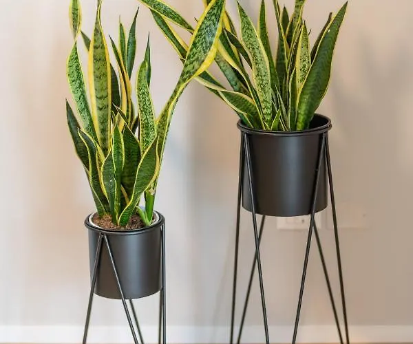 Le Dimore Di Gio Lägenhet *